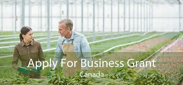 Apply For Business Grant Canada